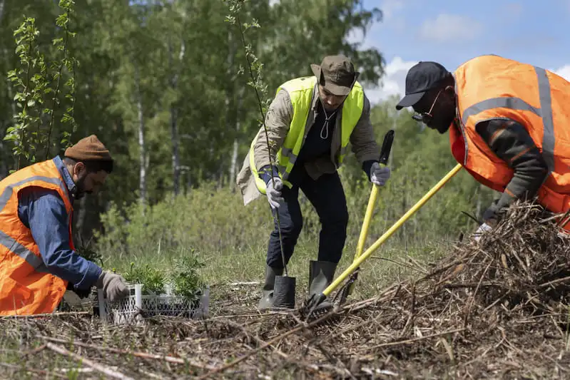 groenvoorziening-en-groenverwijdering
